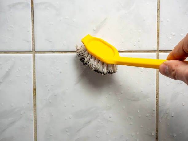 Mold Testing and Removal in Winnsboro Mills, SC