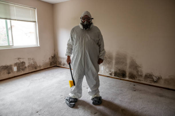 Professional Mold Removal in Winnsboro Mills, SC